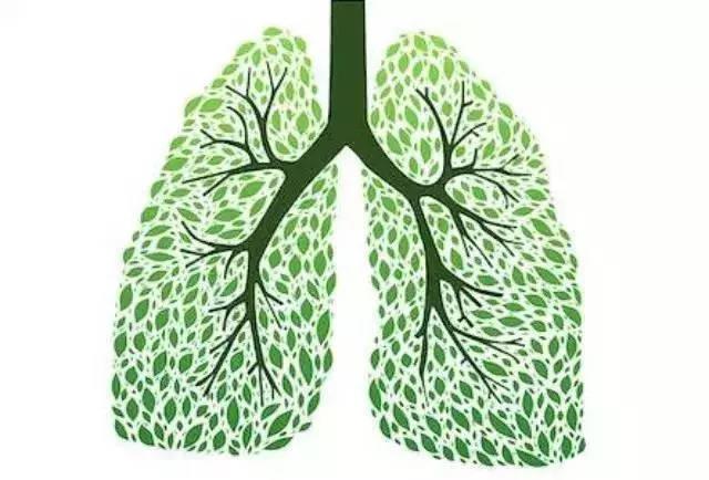 如何预防肺癌？