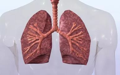 肺癌患者发生放射性肺损伤怎么办