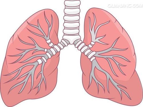 肺癌转移途径有哪些