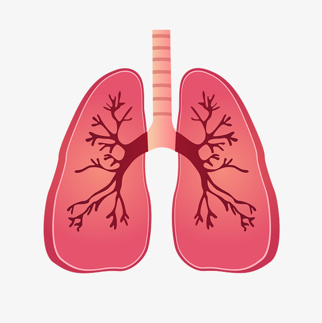 肺结节如何科学按期随访？