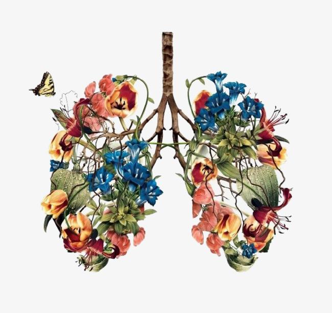 肺癌护理中的误区有哪些