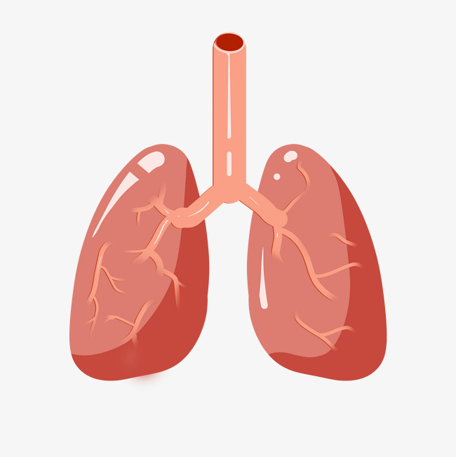 间质性肺异常、间质性肺病和肺癌