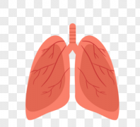 肺癌手术后为什么要做腹式呼吸?