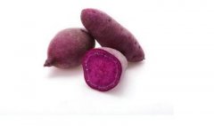 紫薯到底能吃不能吃？